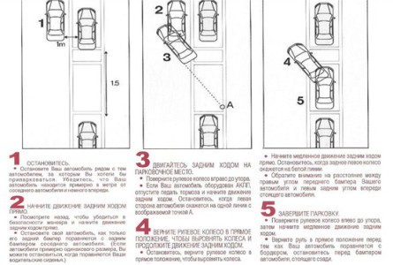Как научиться парковаться задним ходом новичку Как научиться парковаться задним ходом новичку